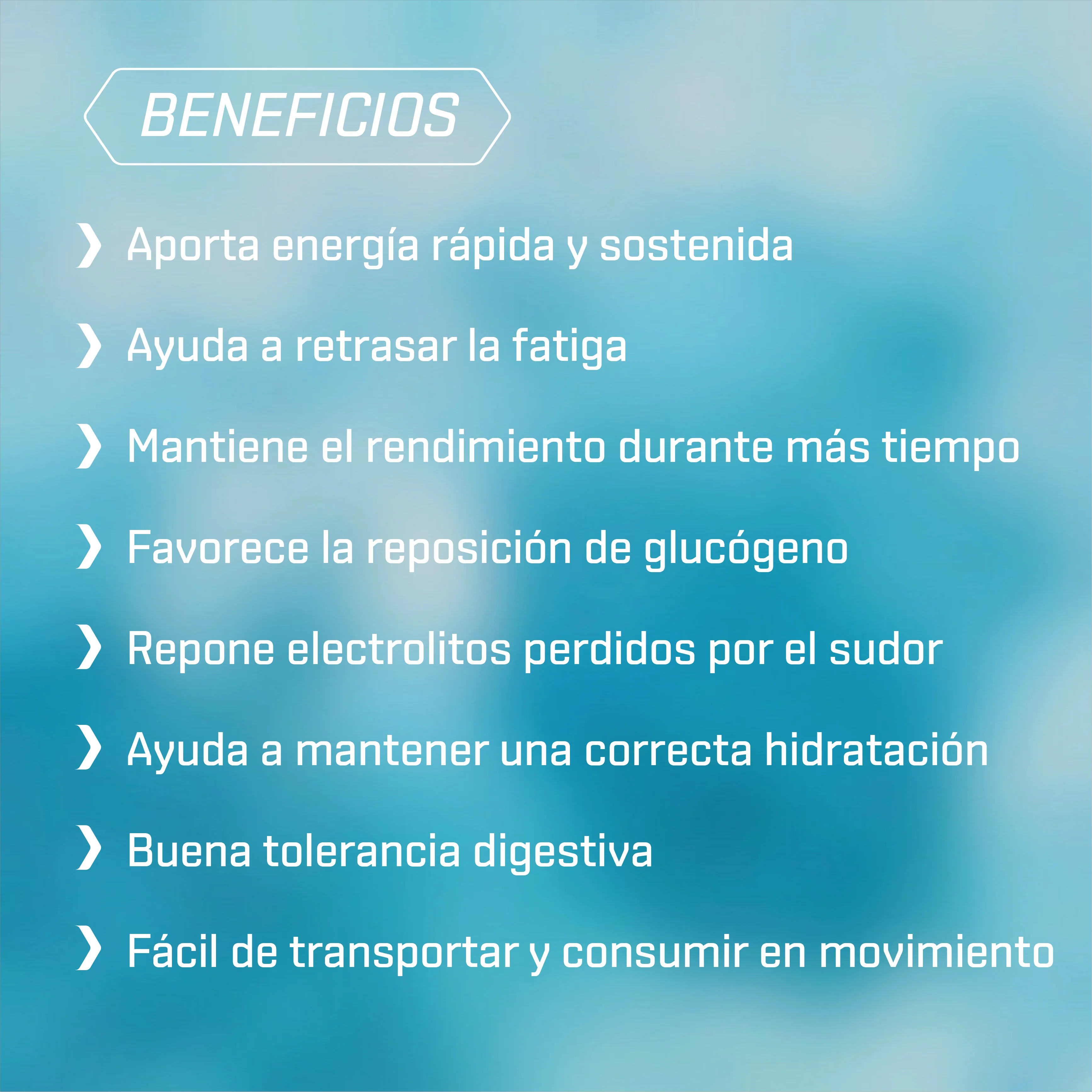 FRUCTOSE GEL LEVEL - sabor Neutro 31 g