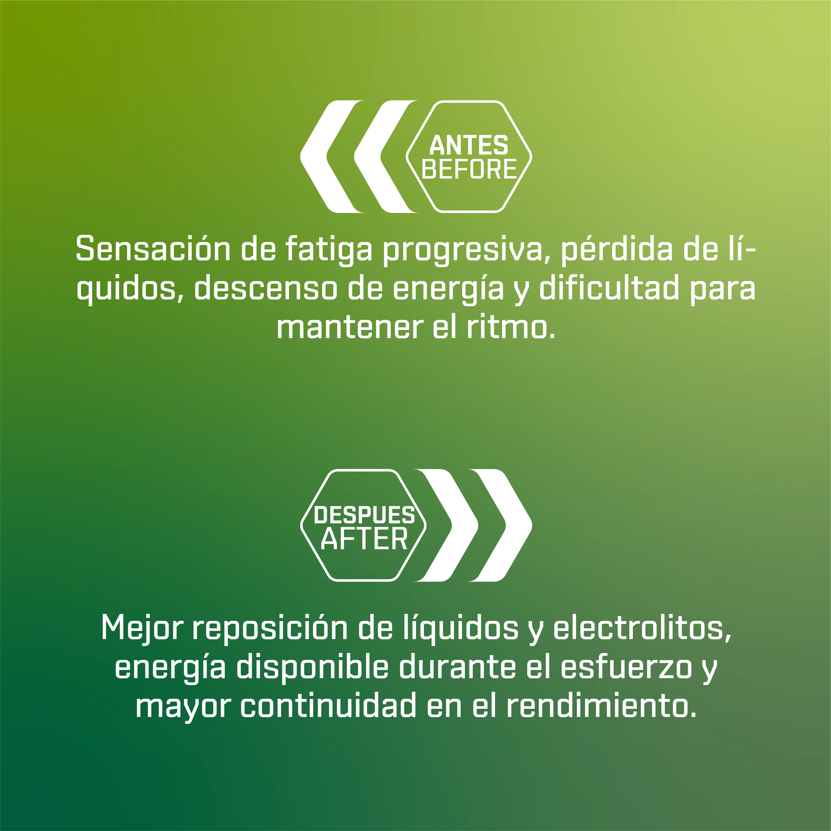 ISOTONIC LEVEL - sabor Lima