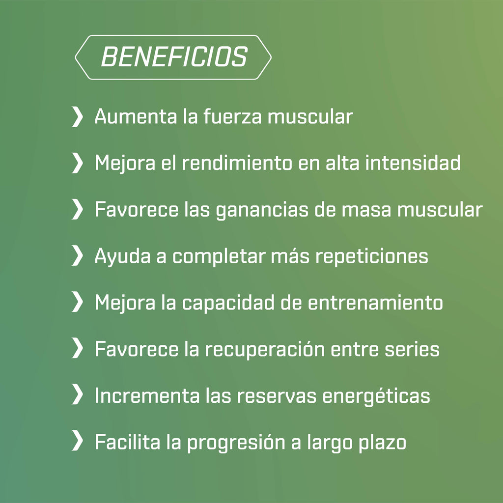 CREATINE LEVEL Monohidrato - 301 g