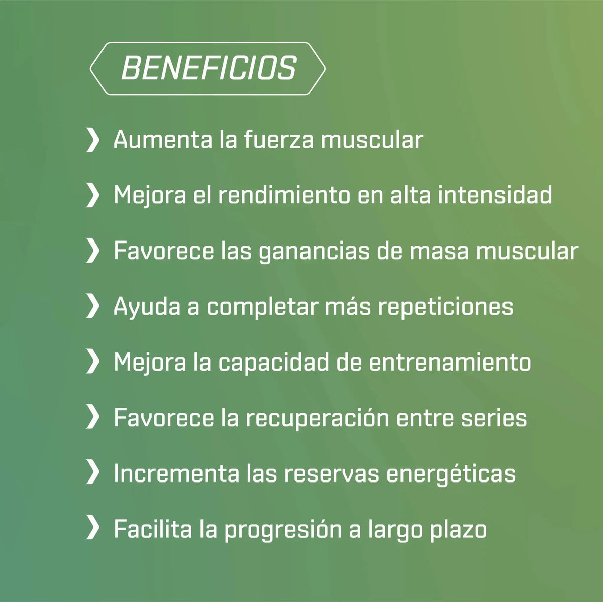 CREATINE LEVEL Monohidrato - 301 g - 101 Other Level